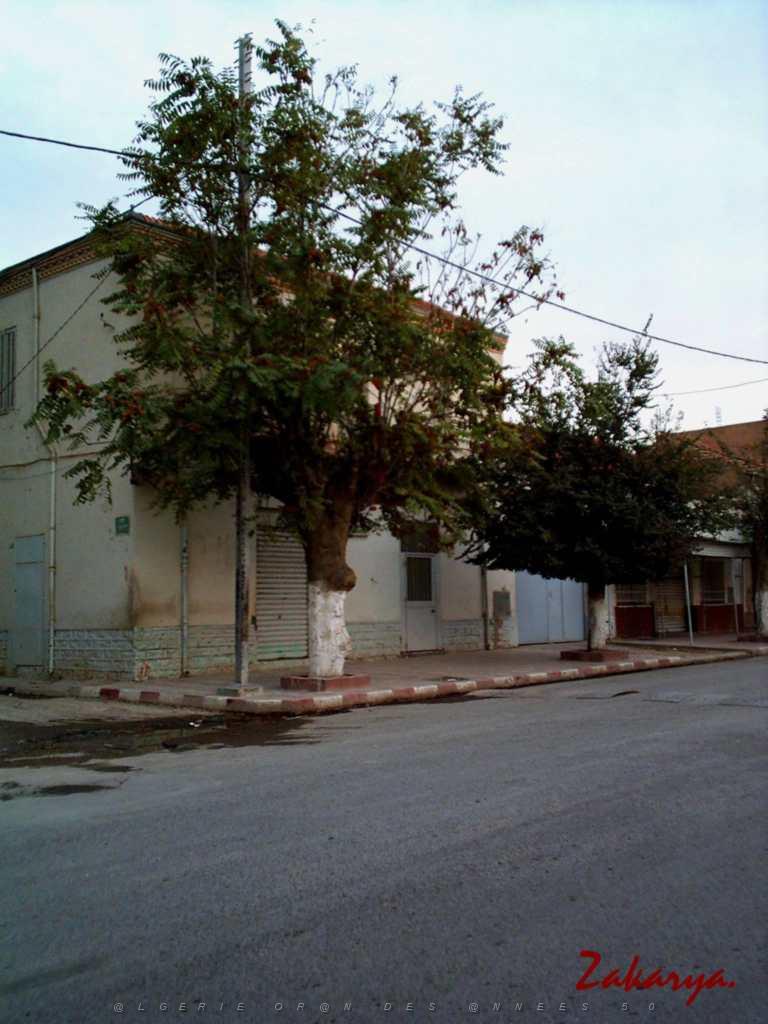 LE TELAGH AU FIL DES RUES 01.JPG